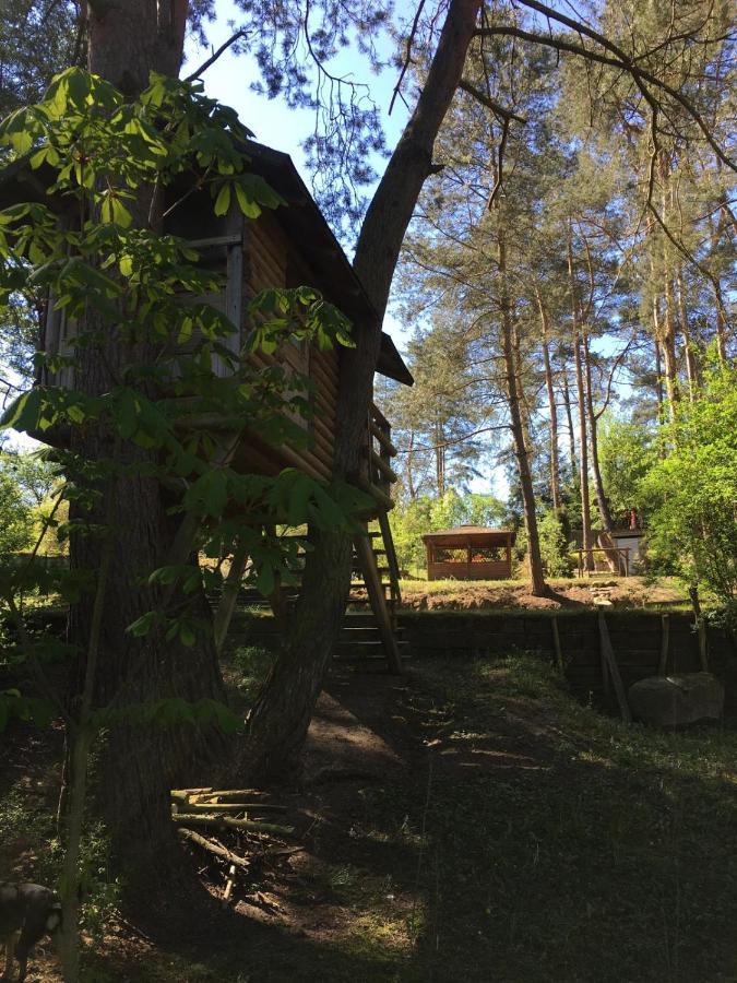 Domek Z Bali Tryszczyn Nad Brda Bagian luar foto